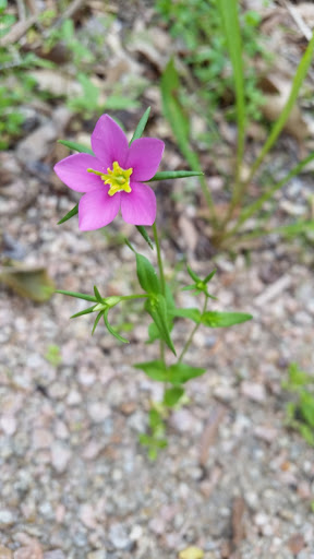Nature Preserve «Baytown Nature Center», reviews and photos, 6213 Bayway Dr, Baytown, TX 77520, USA
