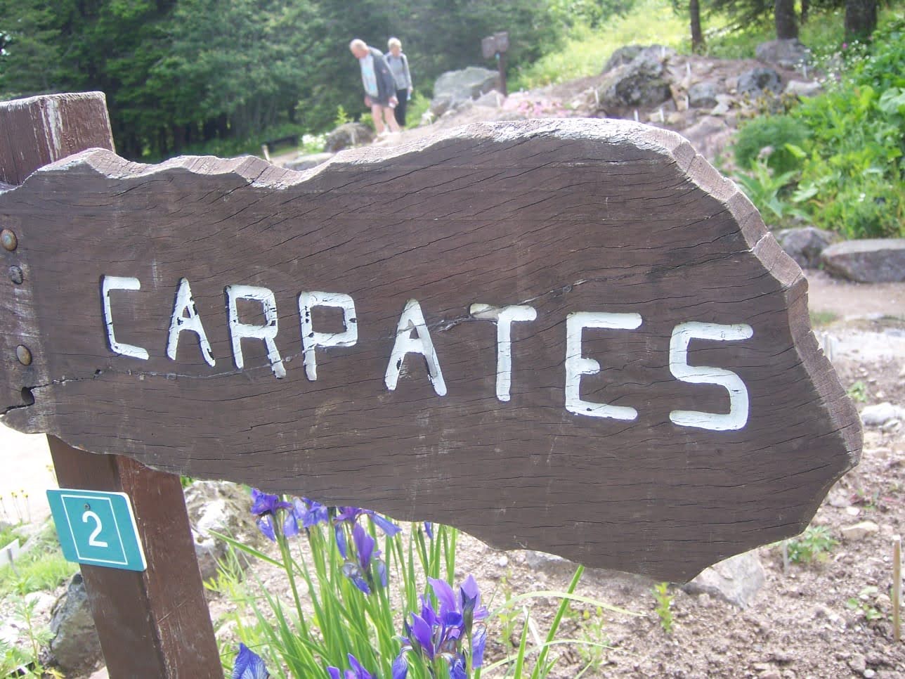 Photo n° 9 de l'avis de Christiane.e fait le 15/06/2021 à 17:16