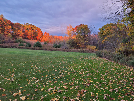 Park «Ellsworth McAfee Park», reviews and photos, 363 South St, Northborough, MA 01532, USA