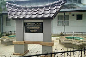Tuanku Ampuan Najihah Hospital, Kuala Pilah image