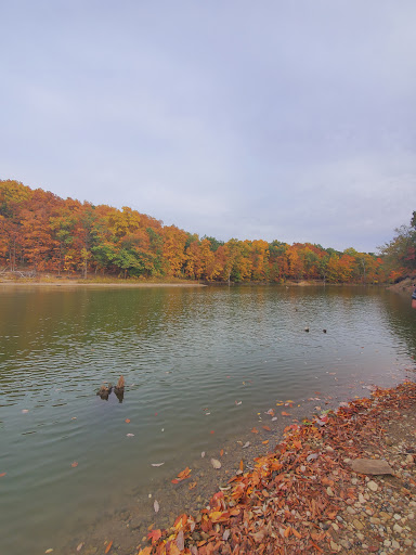 Nature Preserve «Caesar Creek Gorge State Nature Preserve», reviews and photos, 4080 Corwin Rd, Oregonia, OH 45054, USA