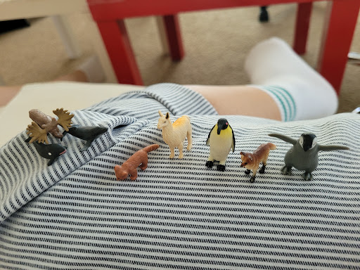 Zoo «Utica Zoo», reviews and photos, 1 Utica Zoo Way, Utica, NY 13501, USA