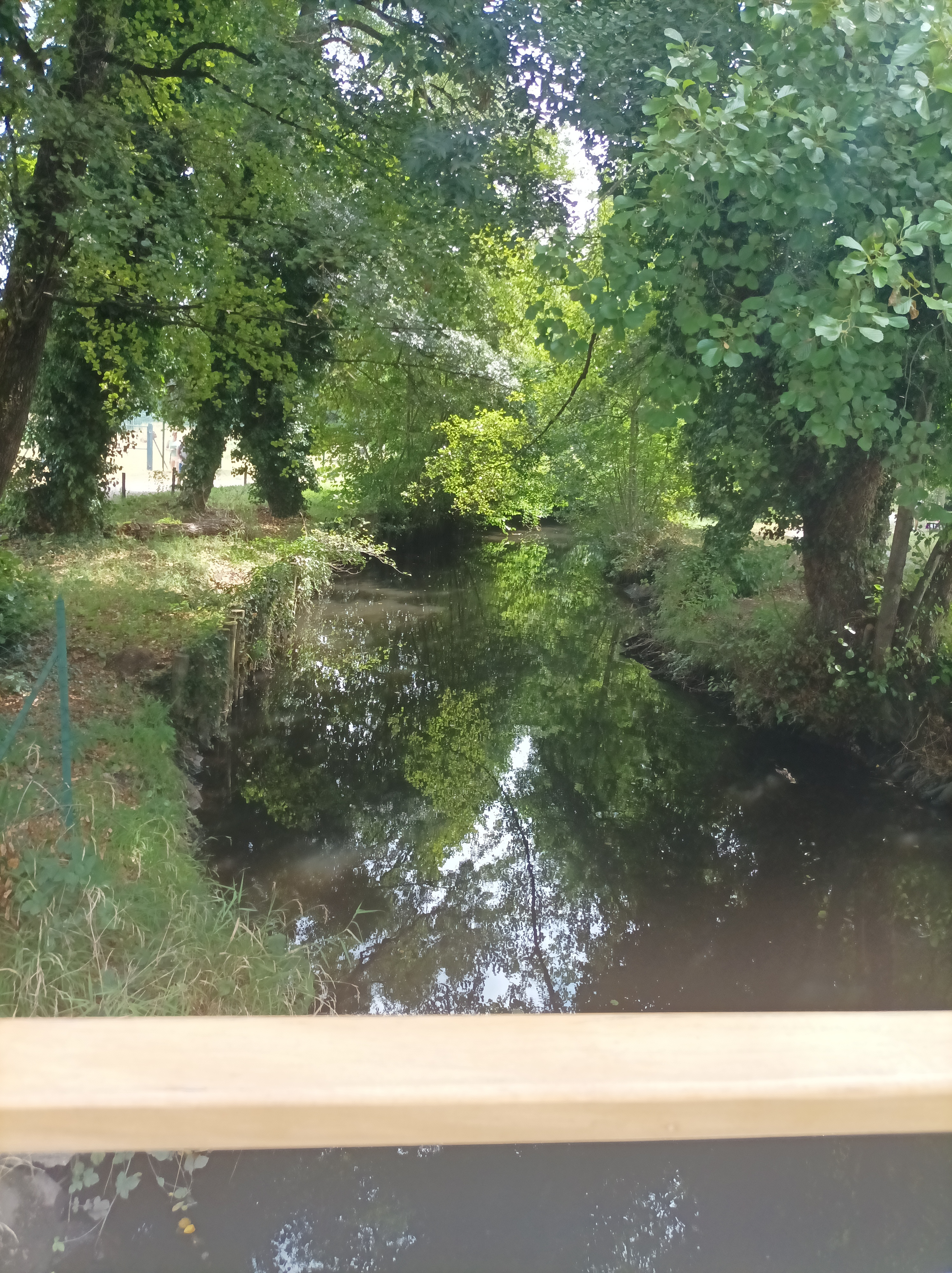 Photo n° 14 de l'avis de Ismail.G fait le 15/08/2022 à 19:39