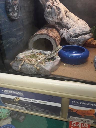 PetSmart image