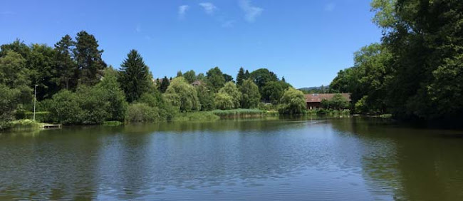 Rezensionen über Bar au Lac in Bern - Bar