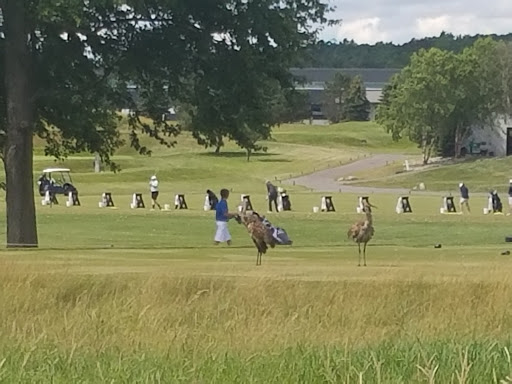 Golf Course «Fieldstone Golf Club», reviews and photos, 1984 Taylor Rd, Auburn Hills, MI 48326, USA