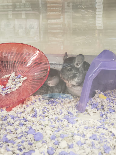 Pet Supply Store «Petco Animal Supplies», reviews and photos, 2210 N Eagle Rd, Meridian, ID 83646, USA