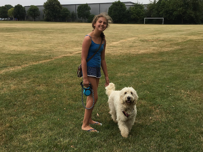 Comments and reviews of Jennifer Brunner - Licensed Puppy & Dog Trainer - Professional Dog Walker.