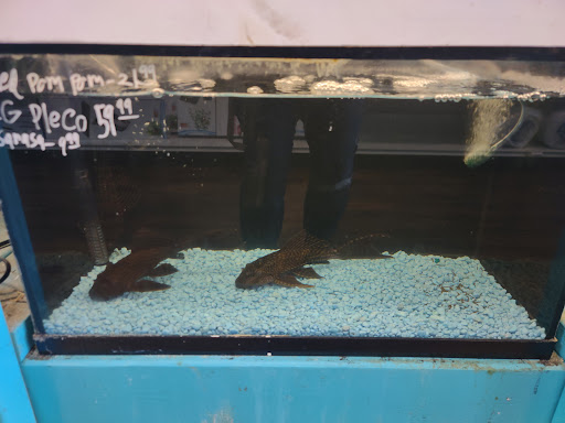 Pet Store «Pet Zone», reviews and photos, 1620 Marion-Mt Gilead Rd, Marion, OH 43302, USA