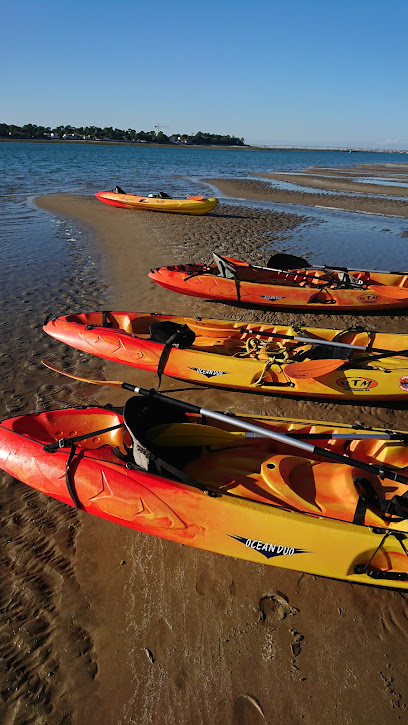 Island kayak Oleron Saint-Pierre-d'Oléron