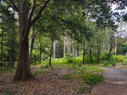 Park «Alexander Park», reviews and photos, 300 Atlanta St, McDonough, GA 30253, USA