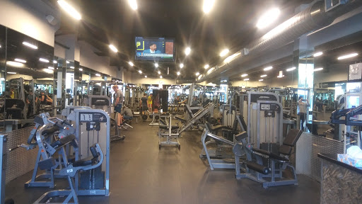 Gym «Wicker Park Fitness», reviews and photos, 1735 W Division St #1, Chicago, IL 60622, USA