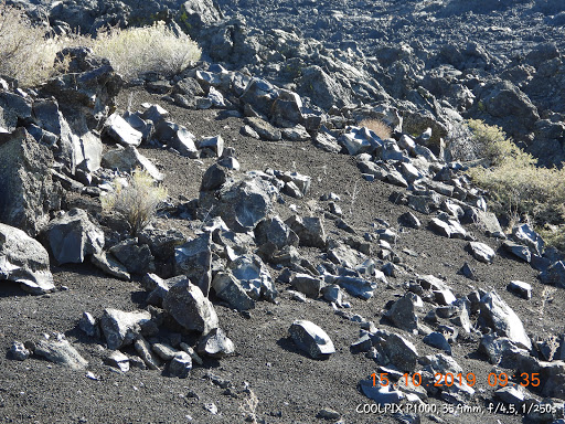 Museum «Tillamook Air Museum», reviews and photos, 6030 Hangar Rd, Tillamook, OR 97141, USA