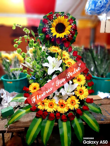 Floreria San Pedro – Ixtlahuaca de Rayón