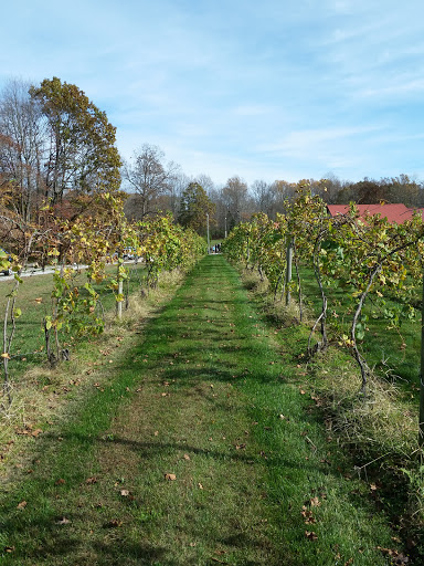 Winery «Butler Winery and Vineyards», reviews and photos, 6200 E Robinson Rd, Bloomington, IN 47408, USA