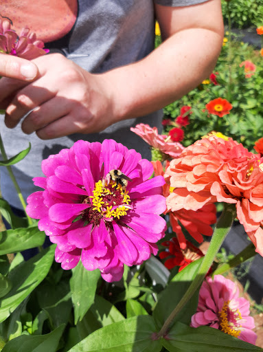 Produce Market «Maple Acres Farm Market», reviews and photos, 2656 Narcissa Rd, Plymouth Meeting, PA 19462, USA