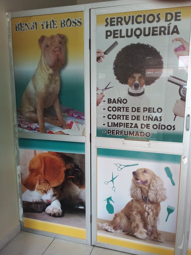 Consentidos, Pet Shop, Peluqueria Canina, Delivery