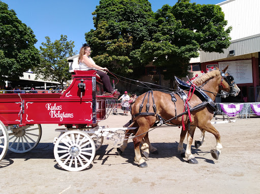 Fairground «Wisconsin State Fair Park», reviews and photos, 640 S 84th St, West Allis, WI 53214, USA