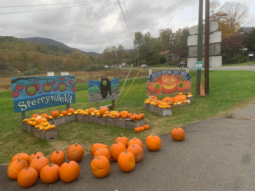 Gift Shop «Beech Spring Gift Shop», reviews and photos, 11600 Lee Hwy, Sperryville, VA 22740, USA
