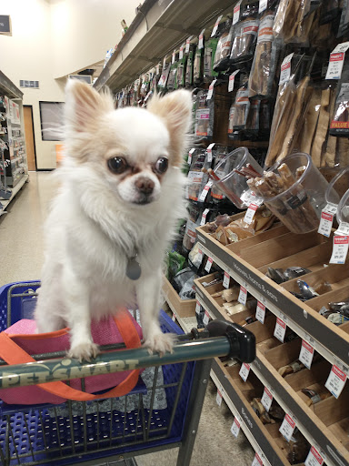 Pet Supply Store «PetSmart», reviews and photos, 5521 Mirage St, Yorba Linda, CA 92887, USA