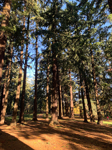 Park «Clinton City Park», reviews and photos, 5576 SE Division St, Portland, OR 97206, USA