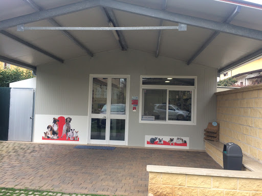 Pensioni per cani e dog hotel a The Blue Cross Clinica Veterinaria Animal Kingdom