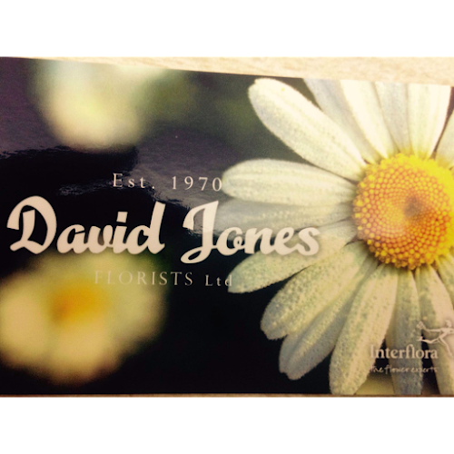 Comments and reviews of David Jones Florists