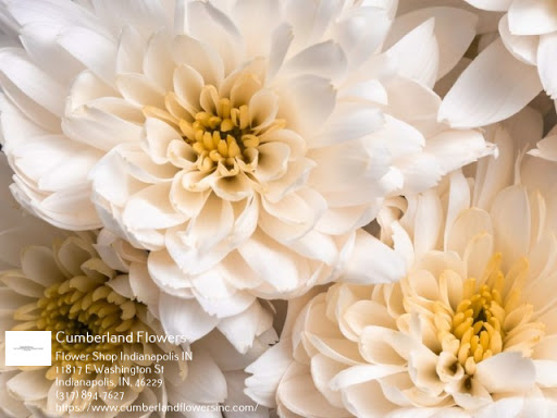Florist «Cumberland Flowers», reviews and photos, 11817 E Washington St, Indianapolis, IN 46229, USA