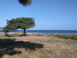 Photo de Kumburnu beach zone sauvage