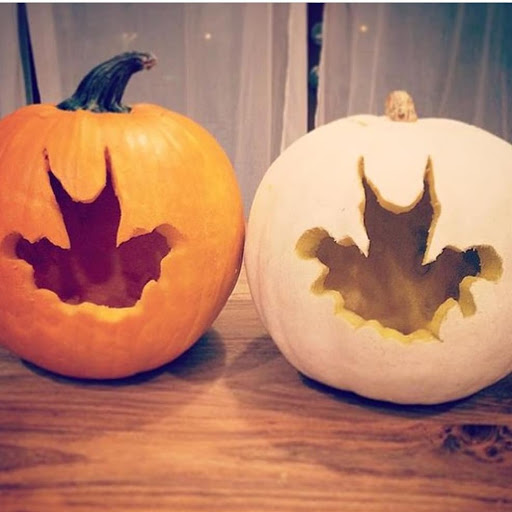 Ballet School «Tutu School Raleigh», reviews and photos, 709 Tucker St, Raleigh, NC 27603, USA