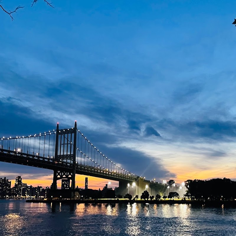 Robert F. Kennedy Bridge