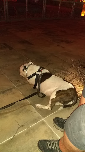 Park «Cumberland Park», reviews and photos, 592 S 1st St, Nashville, TN 37213, USA