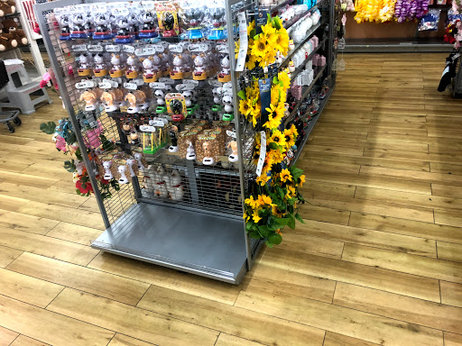 Wholesaler «Daiso California», reviews and photos, 1785 Decoto Rd, Union City, CA 94587, USA