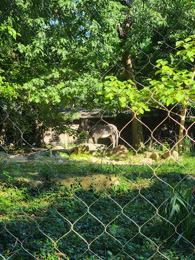 Zoo «Amazonia», reviews and photos, 3001 Connecticut Ave, Washington, DC 20008, USA