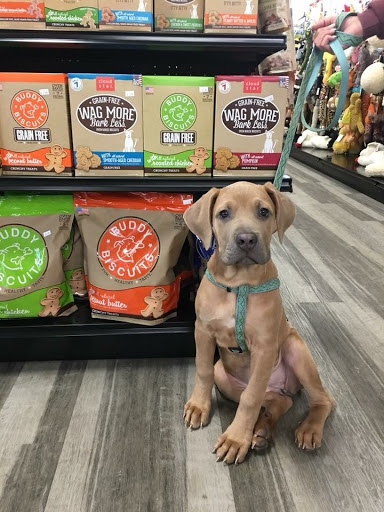 Pet Supply Store «All Island Pet Supplies», reviews and photos, 1177 Middle Country Rd, Middle Island, NY 11953, USA