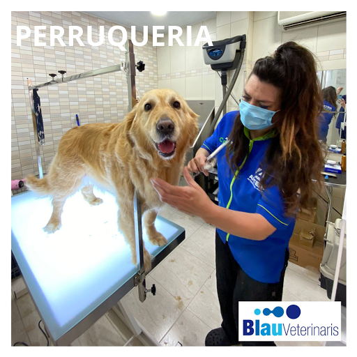 Blau Veterinaris Canet de Mar en Canet de Mar