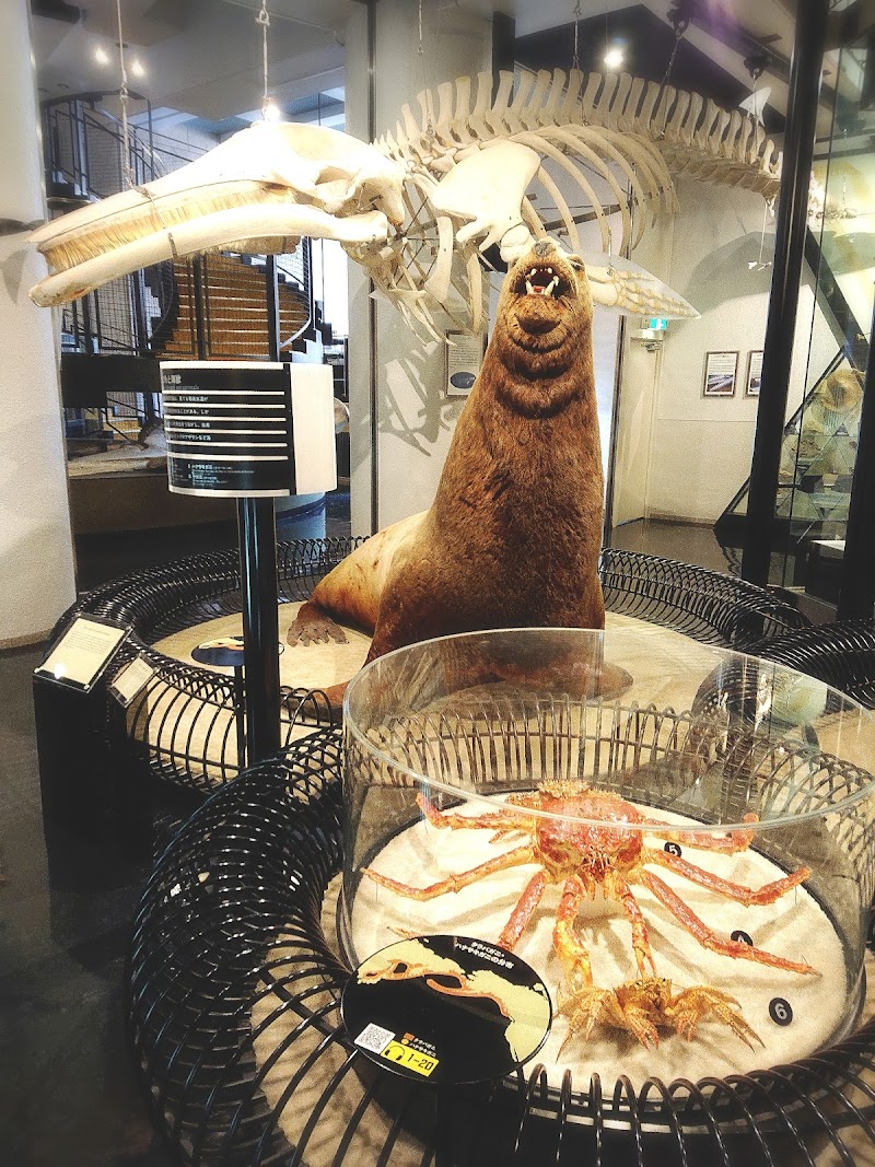 釧路市立博物館 北海道釧路市春湖台 博物館 美術館 博物館 グルコミ
