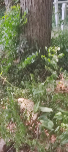 Vineyard «Diamond Hill Vineyards», reviews and photos, 3145 Diamond Hill Rd, Cumberland, RI 02864, USA