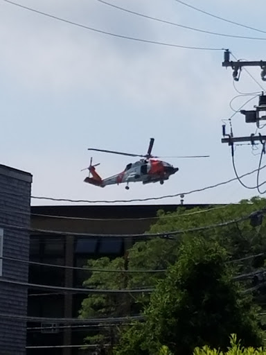 Aquarium «Woods Hole Science Aquarium», reviews and photos, 166 Water St, Woods Hole, MA 02543, USA