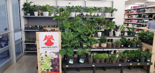 Department Store «Walmart Supercenter», reviews and photos, 1501 SW Wanamaker Rd, Topeka, KS 66604, USA