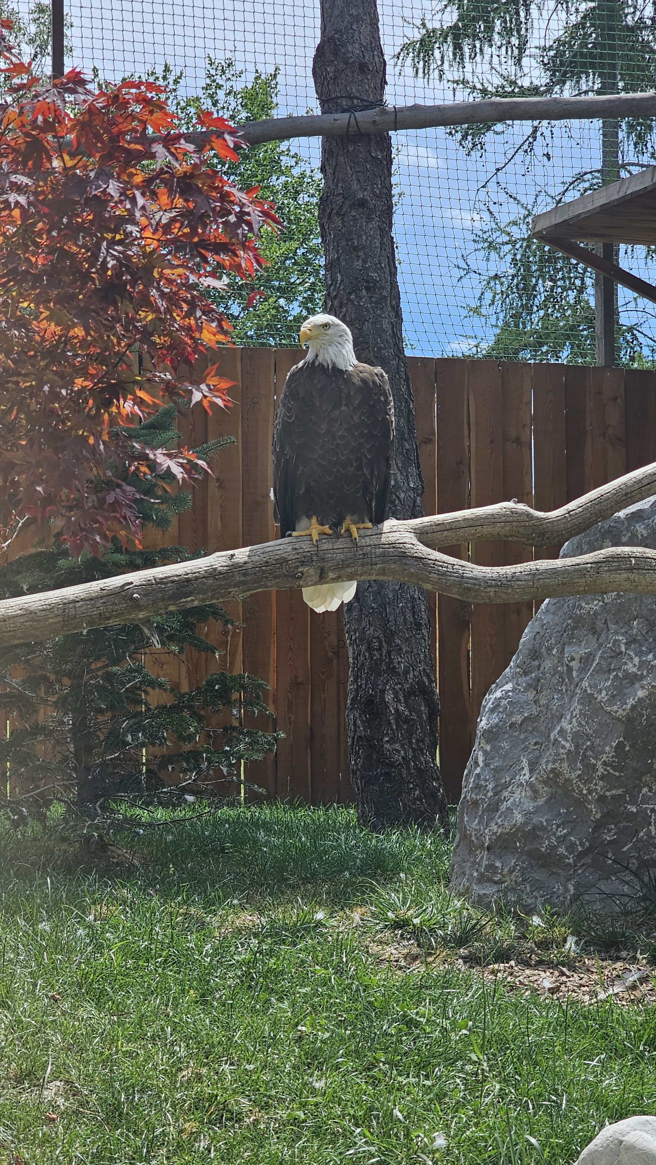 Photo n° 6 de l'avis de Emoli. fait le 31/07/2023 à 14:47