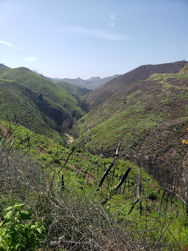 Zuma & Trancas Canyons