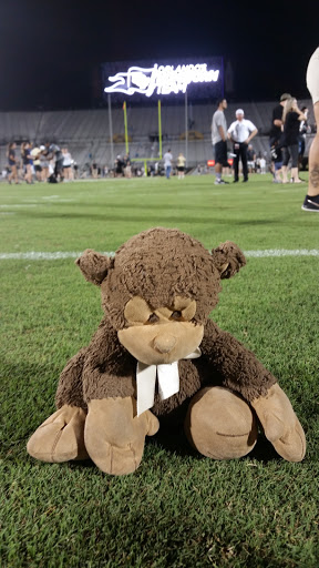 Stadium «Spectrum Stadium», reviews and photos, 4465 Knights Victory Way, Orlando, FL 32816, USA