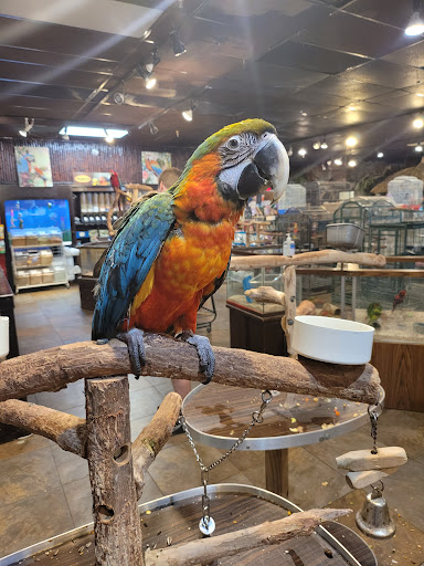 Pet Store «Pet Kingdom», reviews and photos, 4650 S Cleveland Ave, Fort Myers, FL 33907, USA