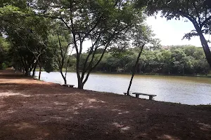 Parque dos Lagos image