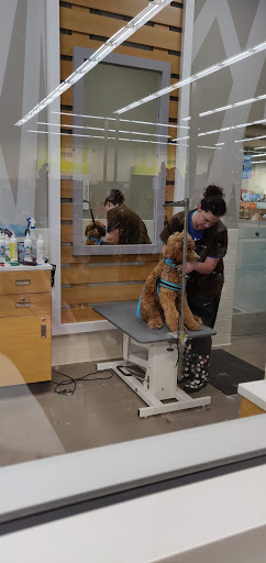 Pet Supply Store «Petco Animal Supplies», reviews and photos, 3452 W Chandler Blvd, Chandler, AZ 85226, USA