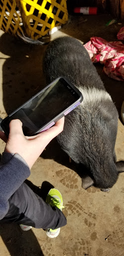 Produce Market «Fresh & Local Produce and Firewood», reviews and photos, 6573 N McDonald St, Melissa, TX 75454, USA