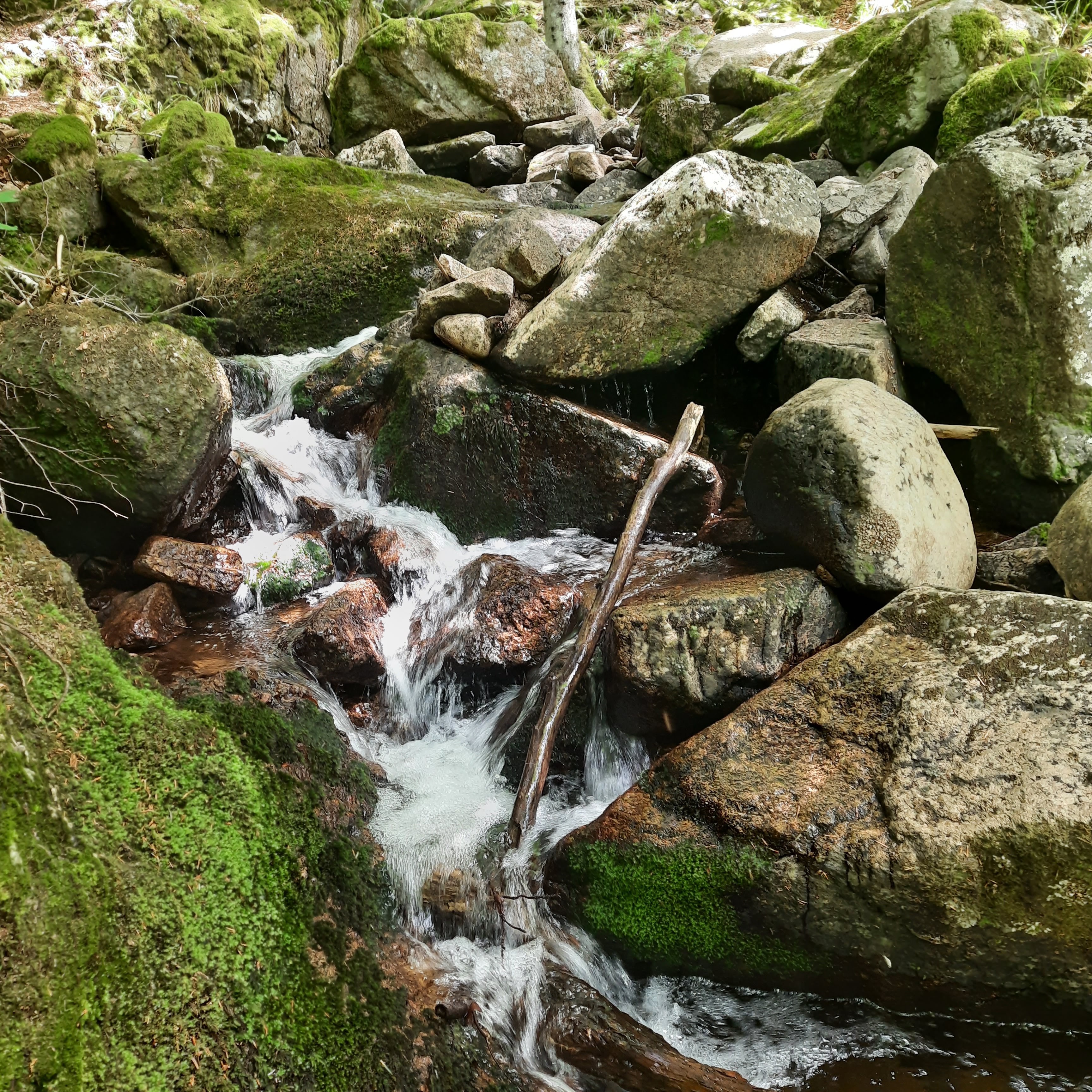 Photo n° 1 de l'avis de Fred.a fait le 19/06/2022 à 16:04