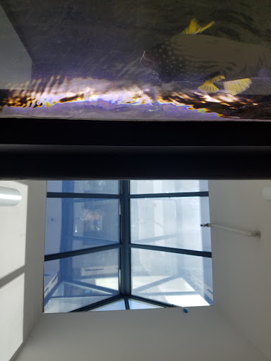 Ford Dealer «Folsom Lake Ford», reviews and photos, 12755 Folsom Blvd, Folsom, CA 95630, USA