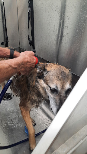 Pet Store «Pet Planet Ridgeview», reviews and photos, 2910 N Power Rd #103, Mesa, AZ 85215, USA